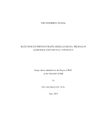 Thesis Submitted for the Degree of Ph.D