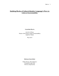 Building Blocks of Cultural Identity: Language's Place in Cultural