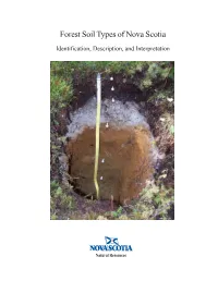 Forest Soil Types of Nova Scotia