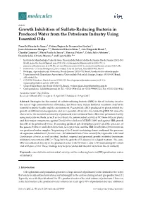 Growth Inhibition of Sulfate-Reducing Bacteria in Produced Water from the Petroleum Industry Using Essential Oils