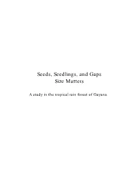 Seeds, Seedling and Gaps