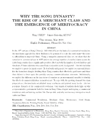 The Rise of a Merchant Class and the Emergence of Meritocracy in China