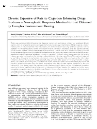 Chronic Exposure of Rats to Cognition Enhancing Drugs Produces a Neuroplastic Response Identical to That Obtained by Complex Environment Rearing