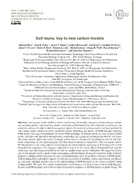 Soil Fauna: Key to New Carbon Models