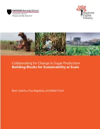 Collaborating for Change in Sugar Production: Building Blocks for Sustainability at Scale