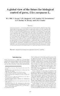 A Global View of the Future for Biological Control of Gorse, Ulex Europaeus L