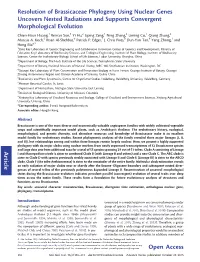 Article Resolution of Brassicaceae Phylogeny Using Nuclear Genes