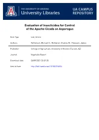 Evaluation of Insecticides for Control of the Apache Cicada on Asparagus