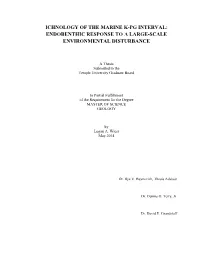Ichnology of the Marine K-Pg Interval: Endobenthic Response to a Large-Scale Environmental Disturbance