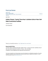 Hidden Prisons: Twenty-Three-Hour Lockdown Units in New York State Correctional Facilities