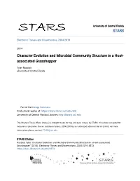 Character Evolution and Microbial Community Structure in a Host- Associated Grasshopper