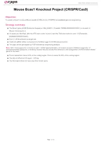 Mouse Bcas1 Knockout Project (CRISPR/Cas9)