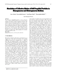 Simulation of Collective Motion of Self Propelled Particles in Homogeneous and Heterogeneous Medium