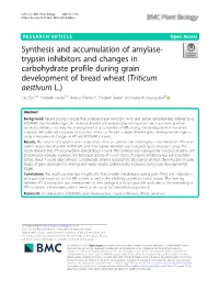 Synthesis and Accumulation of Amylase-Trypsin Inhibitors And