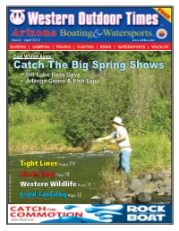 Catch the Big Spring Shows