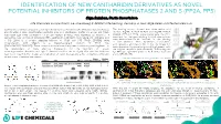 Identification of New Cantharidin Derivatives As
