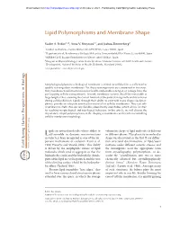 Lipid Polymorphisms and Membrane Shape
