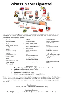 What Is in Your Cigarette?