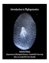 Introduction to Phylogenomics