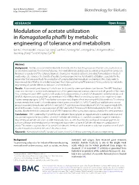 Modulation of Acetate Utilization in Komagataella Phaffii by Metabolic