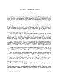 Calico Redux: Artifacts Or Geofacts?
