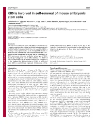Klf5 Is Involved in Self-Renewal of Mouse Embryonic Stem Cells