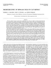 Microcircuitry of Bipolar Cells in Cat Retina1
