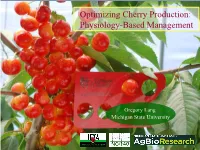 Optimizing Cherry Production: Physiology-Based Management