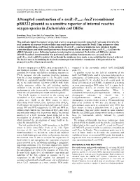 Psoxs::Lacz Recombinant Pbr322 Plasmid As a Sensitive Reporter of Internal Reactive Oxygen Species in Escherichia Coli Dh5α