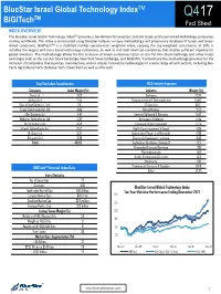 Bigitech Fact Sheet 2017.12
