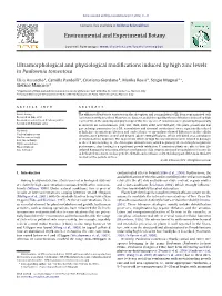 Environmental and Experimental Botany 81 (2012) 11–17