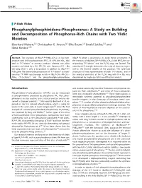 Phosphanylphosphinidene‐Phosphoranes