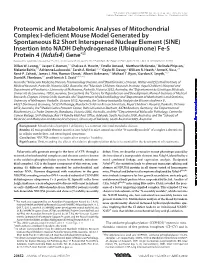 Proteomic and Metabolomic Analyses of Mitochondrial Complex I-Deficient