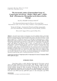 The Taxonomic Status of Intermediate Forms of Campylopus Introflexus (Hedw.) Brid