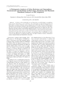 A Phylogenetic Analysis of Tribes Beslerieae and Napeantheae (Gesneriaceae) and Evolution of Fruit Types: Parsimony and Maximum Likelihood Analyses of Ndhf Sequences