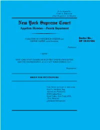 Coalition Initial Brief