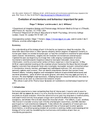 Evolution of Mechanisms and Behaviour Important for Pain