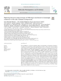 Exploring Data Processing Strategies in NGS Target Enrichment To