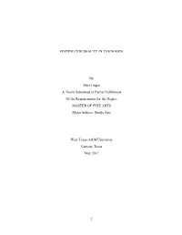 FINDING the BEAUTY in the WASTE by Mert Ungor a Thesis