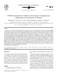 HAND2 Synergistically Enhances Transcription of Dopamine-ß