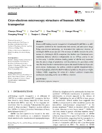 Cryo‐Electron Microscopy Structure of Human ABCB6 Transporter