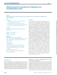 DNA Barcoding for the Identification of Phyllanthus Taxa Used Medicinally in Brazil
