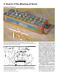 In Search of the Meaning of Senet by Peter A