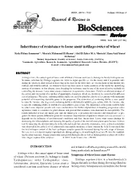 Inheritance of Resistance to Loose Smut Ustilago Tritici of Wheat