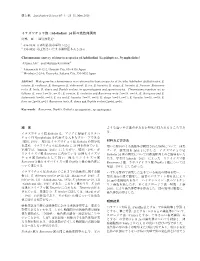 蝶と蛾 Lepidoptera Science 67(1)