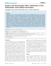 Oxygen and Heterotrophy Affect Calcification of the Scleractinian Coral Galaxea Fascicularis