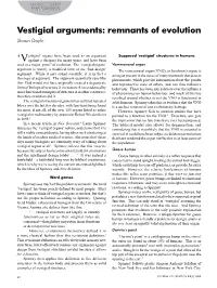 Vestigial Arguments: Remnants of Evolution Shaun Doyle