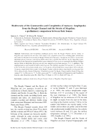 Biodiversity of the Gammaridea and Corophiidea (Crustacea