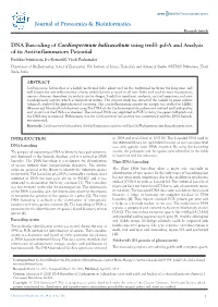DNA Barcoding of Cardiospermum Halicacabum Using Trnh