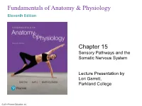 Sensory Pathways and the Somatic Nervous System